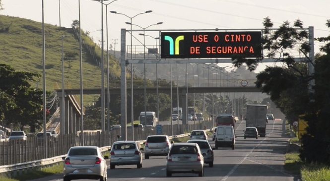 Férias na estrada: confira as dicas da Arteris para transportar crianças e pets com segurança