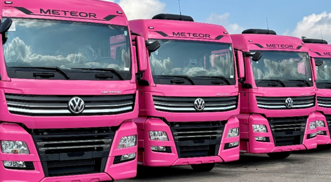 Demanda por personalização ganha força entre clientes mulheres da VWCO